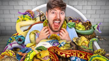 sit on snake for $10,000