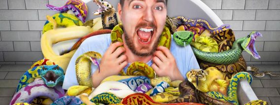 sit on snake for $10,000