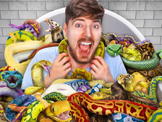 sit on snake for $10,000