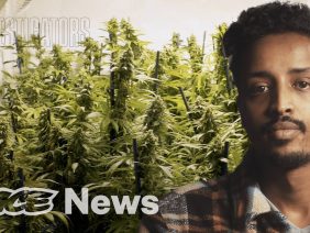 HOW SLAVES GROW WEED EXPOSED