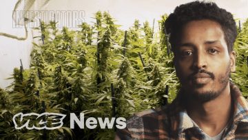 HOW SLAVES GROW WEED EXPOSED