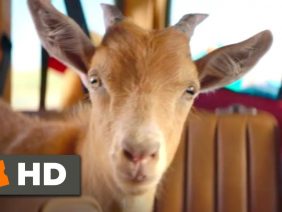 Half Brothers Goat