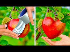 Garden Hacks