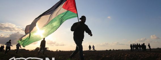 Gaza Ceasefire