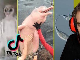 Nature Tiktok