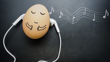 240_F_198041099_TmiwxnHbwl4v5oM7KpGyATbaomdmPJZi